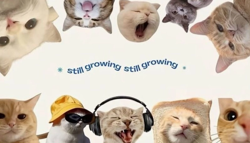 Ảnh meme Năng lượng tính nữ ethereal style đẹp