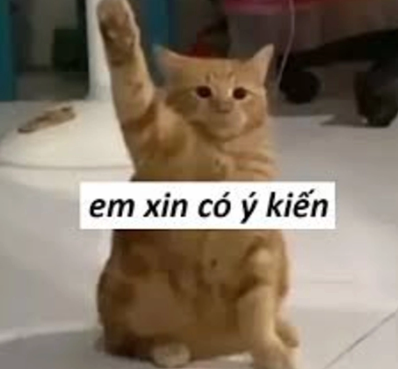 Ảnh meme Năng lượng tính nữ hoa hồng vui