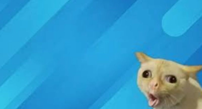 Ảnh meme Năng lượng tính nữ lụa bay hài