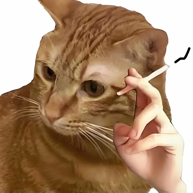 Ảnh meme Overthinking 14 biểu cảm đỉnh