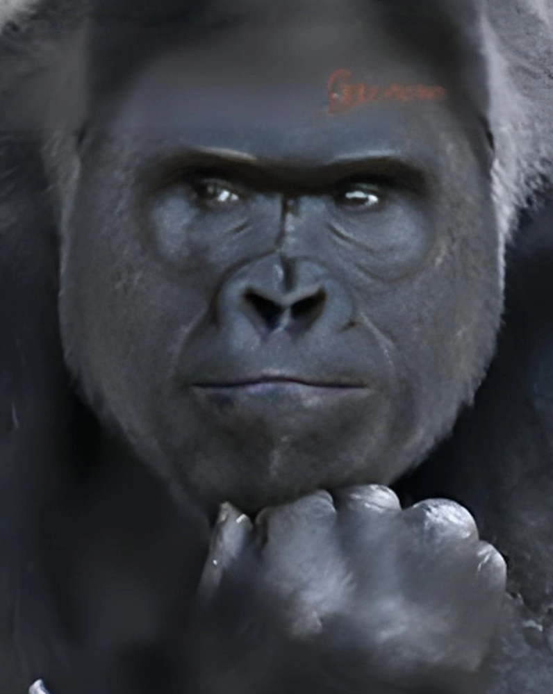 Ảnh meme Overthinking 2 kinh điển