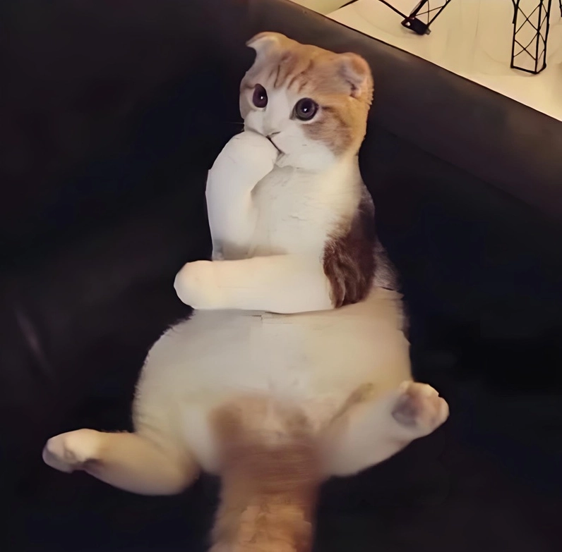 Ảnh meme Overthinking 4 caption đỉnh