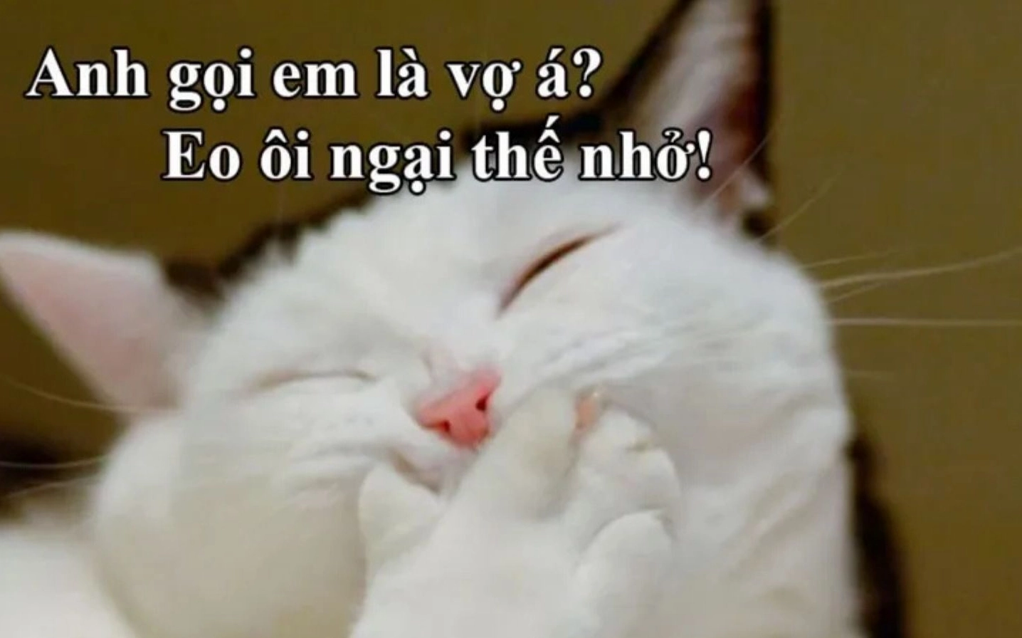 ảnh meme Phú bà với biểu cảm 