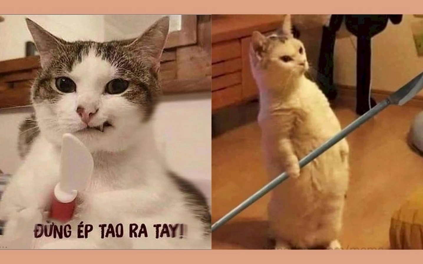 ảnh meme Phú bà với biểu cảm 