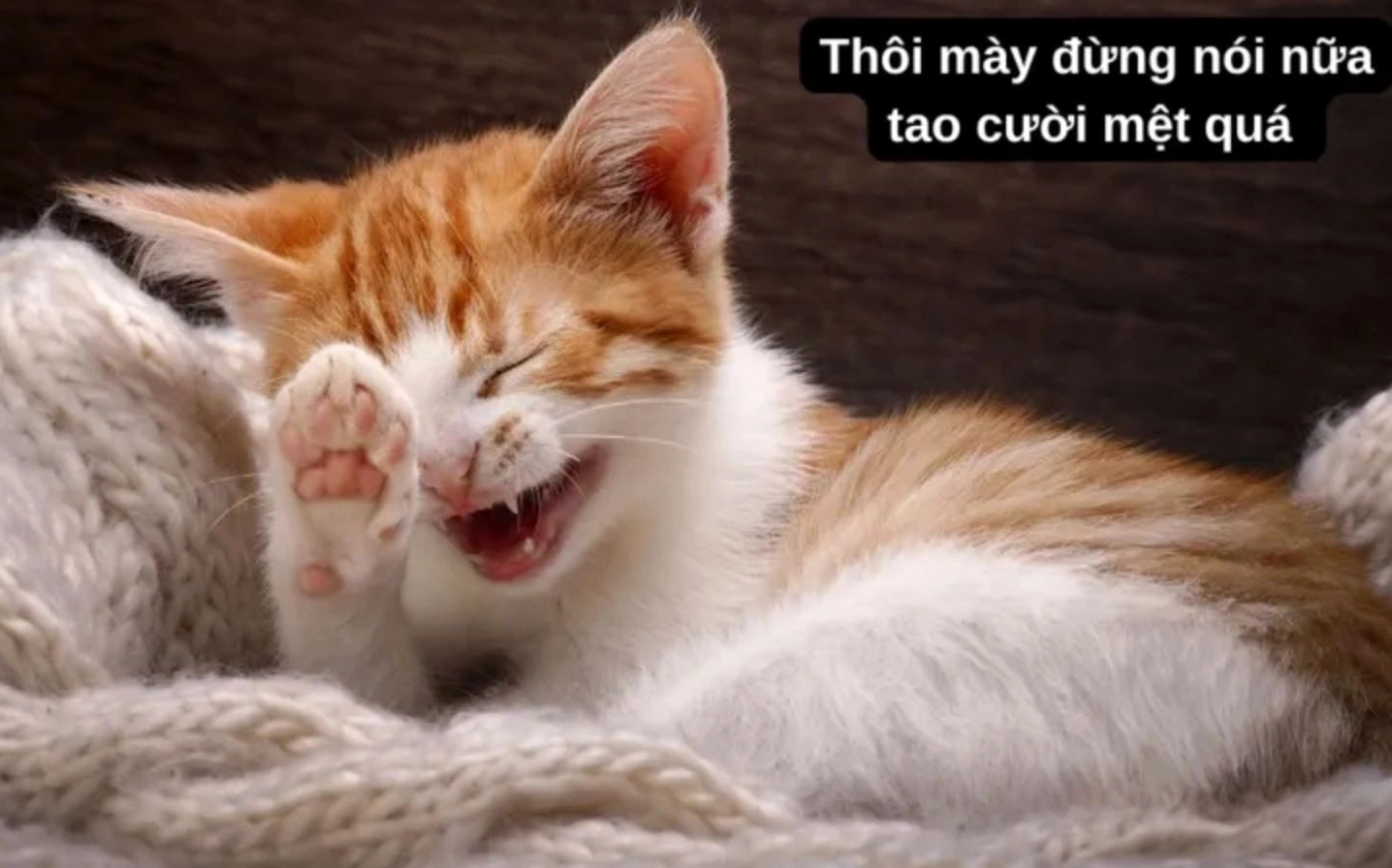 ảnh meme Phú bà với biểu cảm 