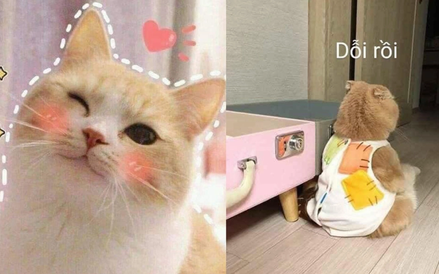 ảnh meme Phú bà với cử chỉ tay 