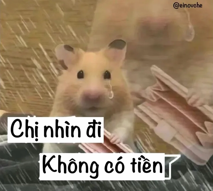 Ảnh meme Rách lành hết tiền cute rách rưới tươi