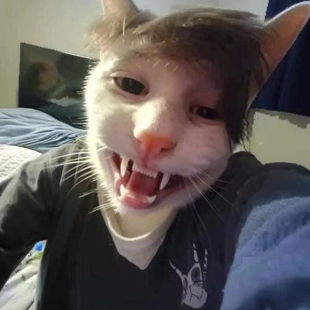 Ảnh meme Simp chúa mèo selfie nhe răng tinh nghịch