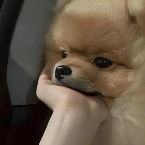 Ảnh meme Suy con chó trầm tư