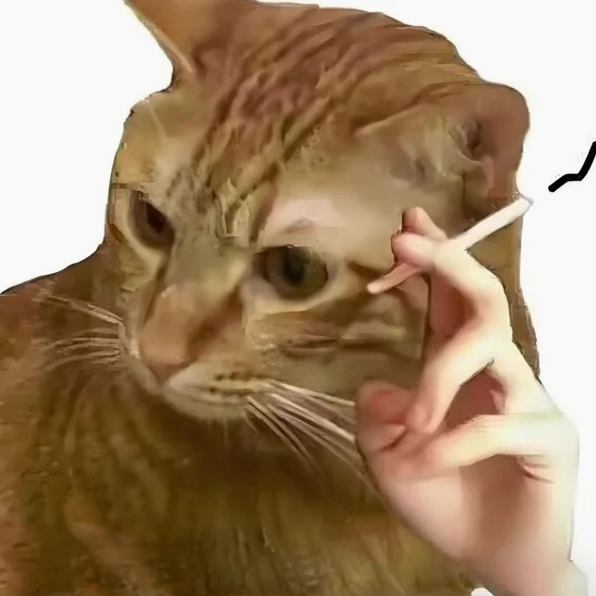 Ảnh meme Suy con mèo cuối