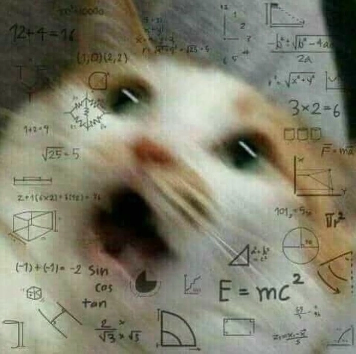 Ảnh meme Suy mèo suy tư cute