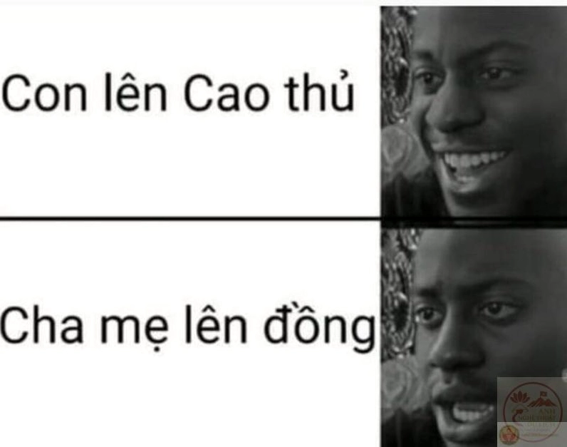 Ảnh meme Test nhân phẩm cách biểu đạt vui tươi kết nối