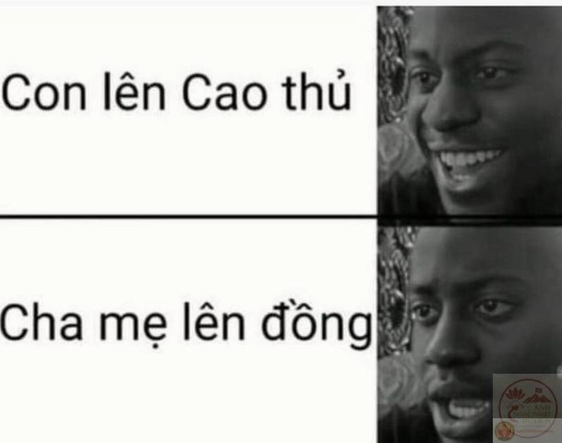 Ảnh meme Test nhân phẩm cách thể hiện mộc mạc