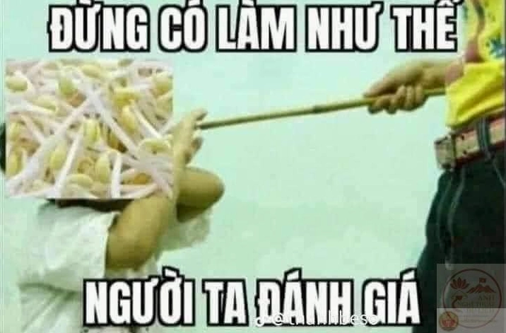 Ảnh meme Test nhân phẩm hài hước người đàn ông đánh giá