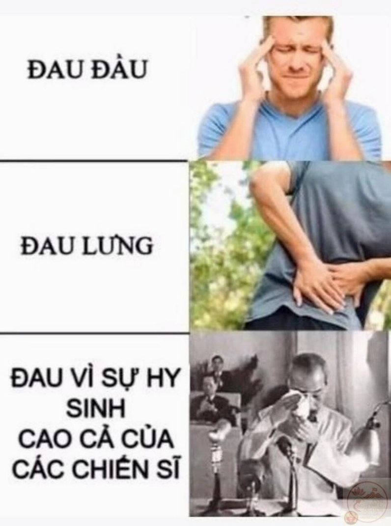 Ảnh meme Test nhân phẩm sự hài hước nhẹ nhàng