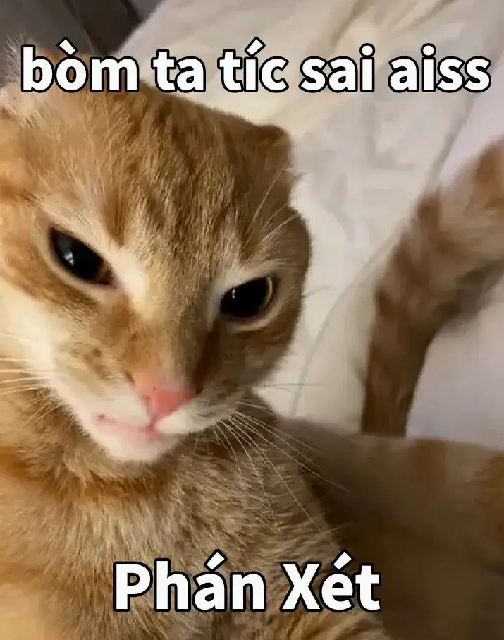 Ảnh meme Test nhân phẩm với biểu cảm mèo phán xét cực gắt