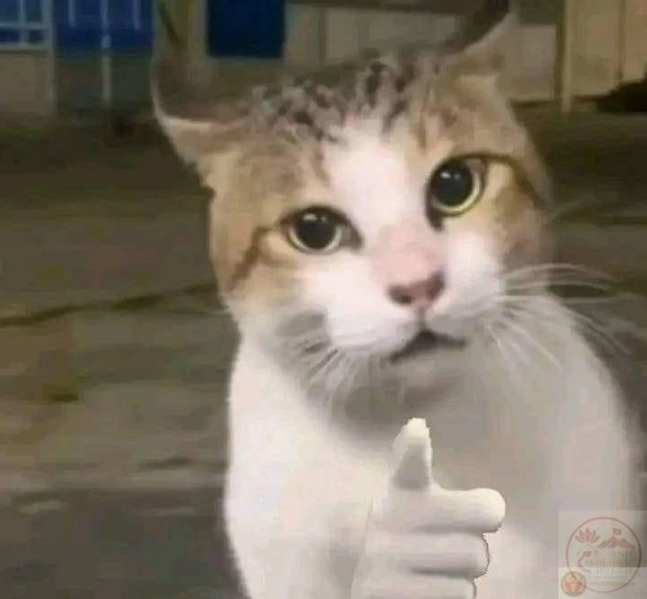 Ảnh meme Test nhân phẩm với phản ứng đánh giá siêu hài