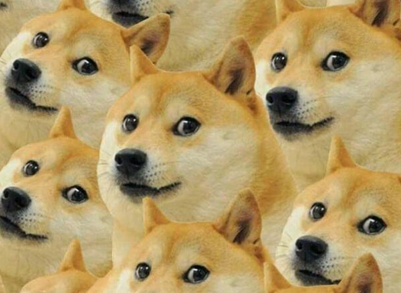 Ảnh meme Thao túng tâm lý chó hoang mang hài