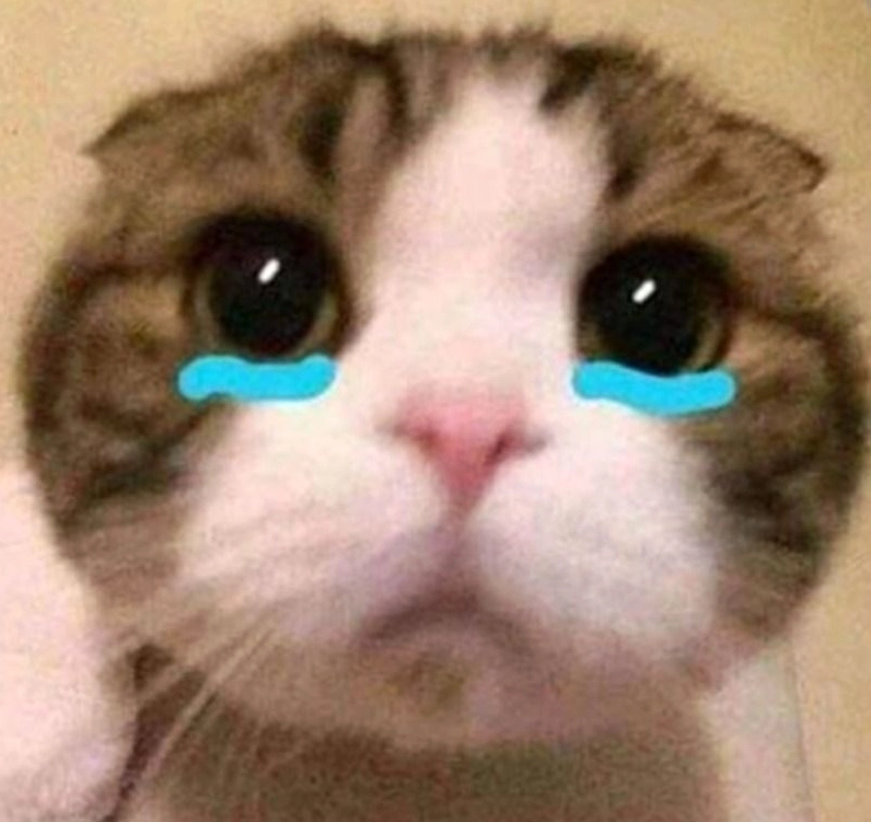 Ảnh meme Tiểu tam với chú gấu đáng yêu đang khóc nấc lên