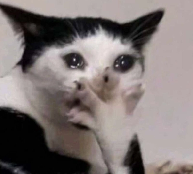 Ảnh meme Tiểu tam với chú mèo mắt đỏ hoe đầy sự tủi thân