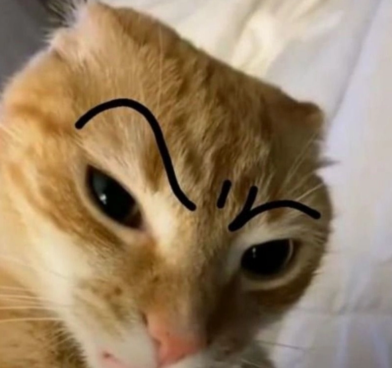 Ảnh meme Tới công chuyện gương mặt troll lầy lội