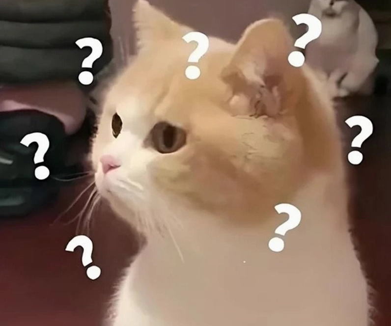 Ảnh meme Tới công chuyện mèo con với sự ngơ ngác đáng yêu