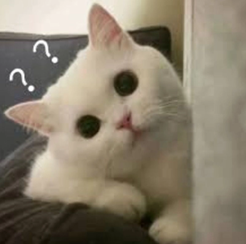 Ảnh meme Tới công chuyện mèo mặt ngáo ngơ chuẩn bị hành động