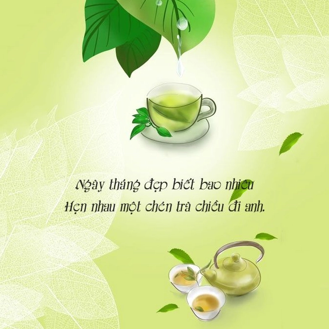 Ảnh meme Trà xanh với stt trà xanh mang đầy ý nghĩa