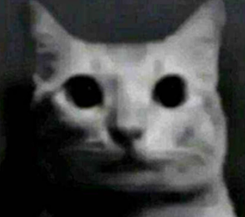 Ảnh meme Trùng sinh biểu cảm khó hiểu của một chú chó