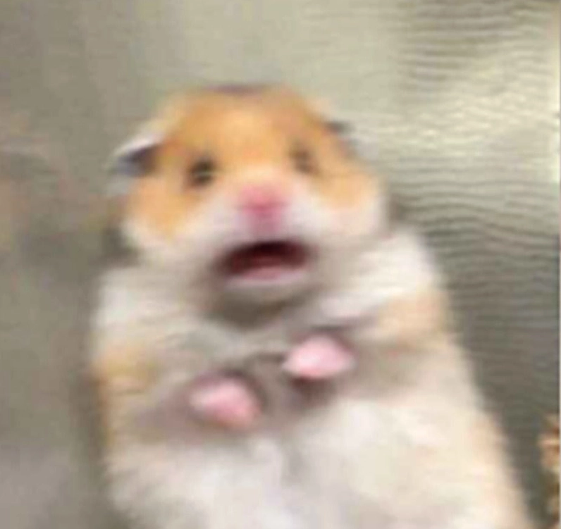 Ảnh meme Trùng sinh với biểu cảm nghiêm túc và bí ẩn