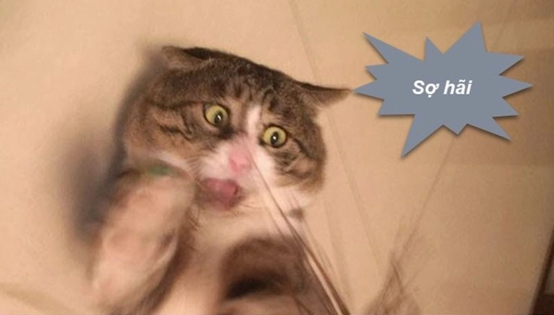 Ảnh meme Trùng sinh với biểu cảm suy tư và đầy kinh nghiệm