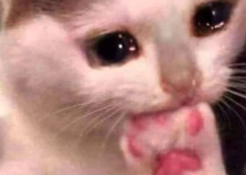 Ảnh meme Xin in tư cậu bé đáng yêu với đôi tay chắp lại như đang cầu nguyện