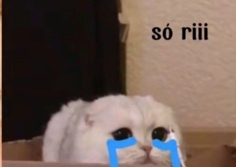 Ảnh meme Xin in tư hình cô bé nghịch ngợm đang lè lưỡi nhưng vẫn đáng yêu