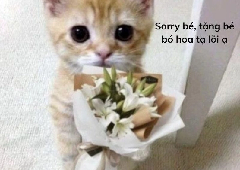 Ảnh meme Xin in tư hình cô bé tóc vàng với đôi mắt to tròn biểu cảm dễ thương