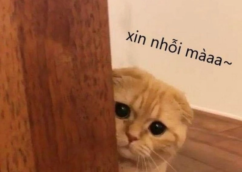 Ảnh meme Xin in tư hình cô bé với vẻ mặt ngây thơ và hơi ngơ ngác