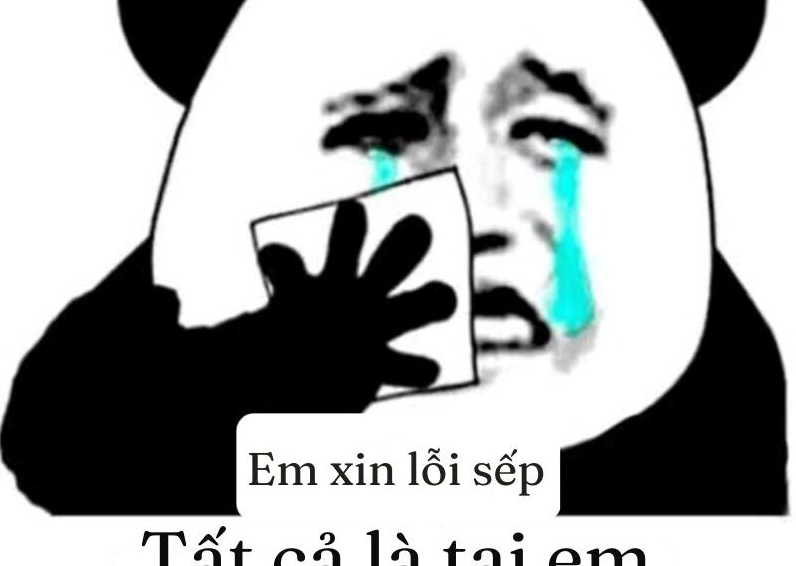 Ảnh meme Xin in tư hình cô gái với khuôn mặt phụng phịu rất cute