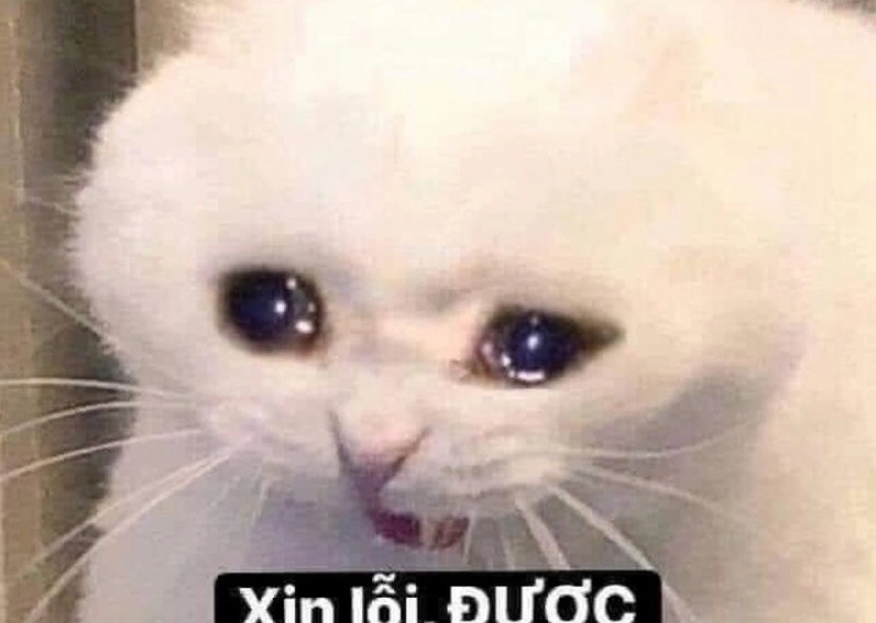 Ảnh meme Xin in tư hình người đàn ông với ánh mắt long lanh đầy mong đợi