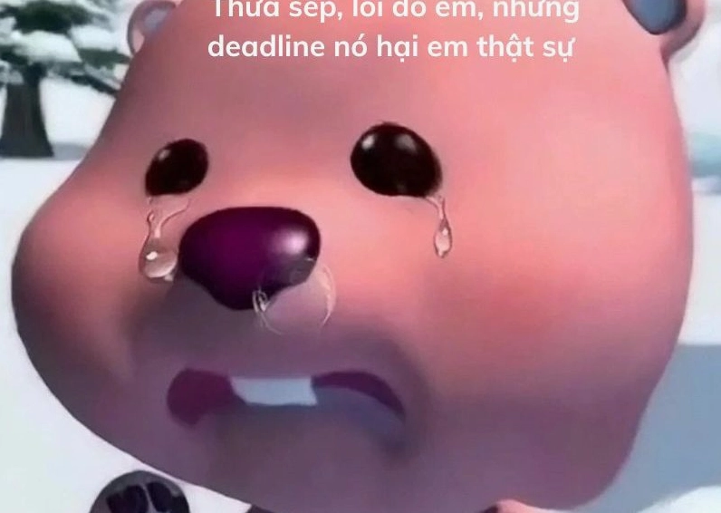 Ảnh meme Xin in tư hình người đàn ông với khuôn mặt mếu máo và đáng thương