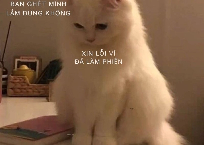 Ảnh meme Xin in tư người đàn ông cau có với biểu cảm đầy hối lỗi và van nài