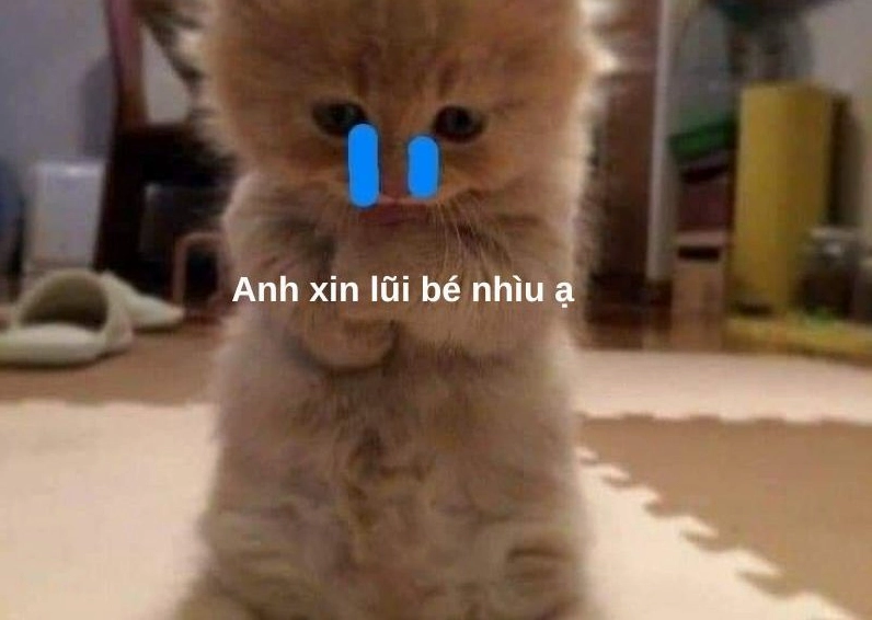 Ảnh meme Xin in tư người đàn ông đáng thương đang ôm đầu hối lỗi