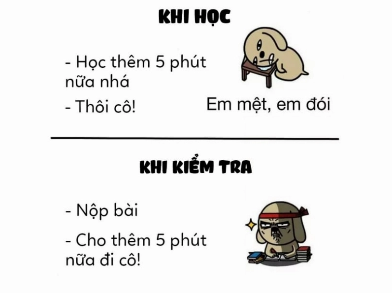 Ảnh meme Xu cà na sự khác biệt khi học và khi kiểm tra
