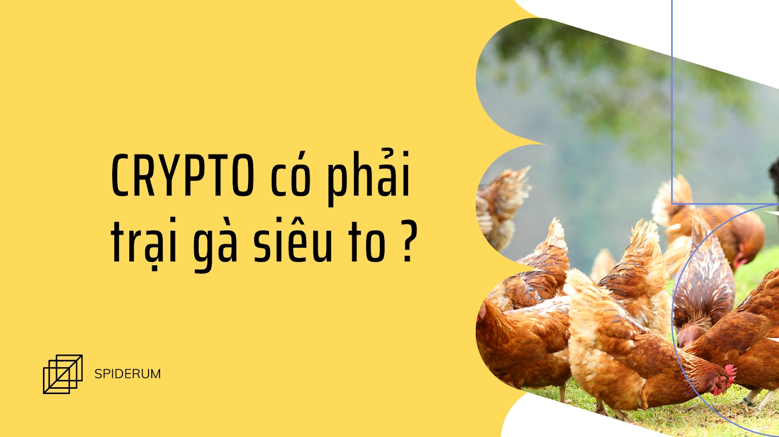 Chỉ có gà mới bị lùa một châm ngôn hài hước về ảnh meme Lùa gà