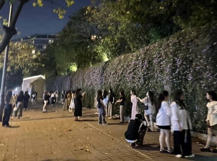 Cô gái tạo dáng phức tạp chụp ảnh meme Check-in sống ảo tường hoa