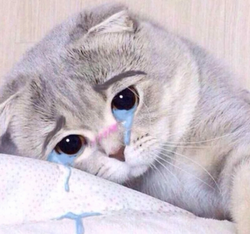 Hình ảnh ảnh meme Tiểu tam chú chim đáng thương rơi lệ vì tình yêu