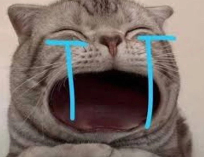 Hình ảnh ảnh meme Tiểu tam chú chó đáng thương khóc đầy nước mắt