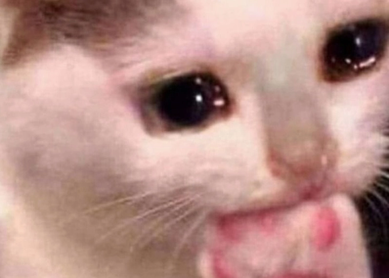 Hình ảnh ảnh meme Tiểu tam chú chó nhỏ khóc nức nở như mất sổ gạo