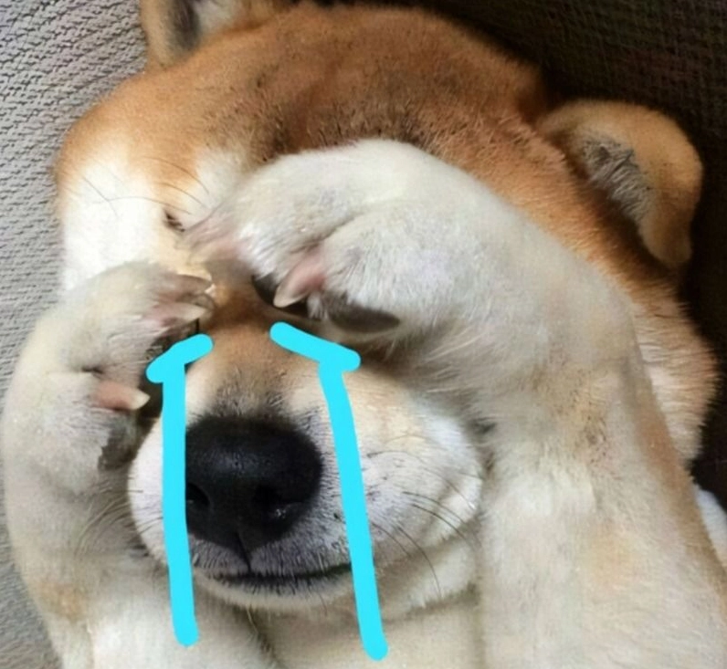 Hình ảnh ảnh meme Tiểu tam chú chó nhỏ khóc nức nở như oan ức