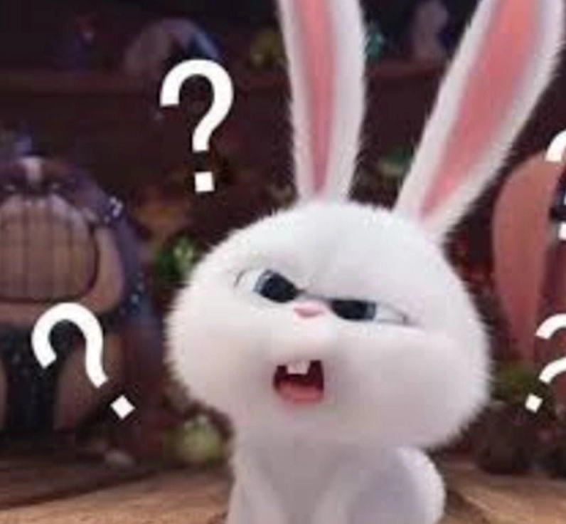 Hình ảnh ảnh meme Tới công chuyện chú mèo ngơ ngác đáng yêu