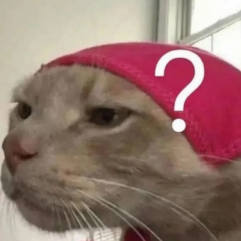 Hình ảnh ảnh meme Tới công chuyện chú mèo suy tư đầy ẩn ý