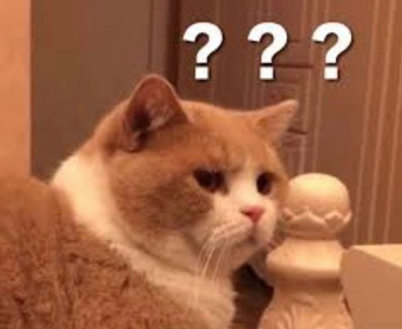 Hình ảnh ảnh meme Tới công chuyện mèo con khó hiểu đáng yêu